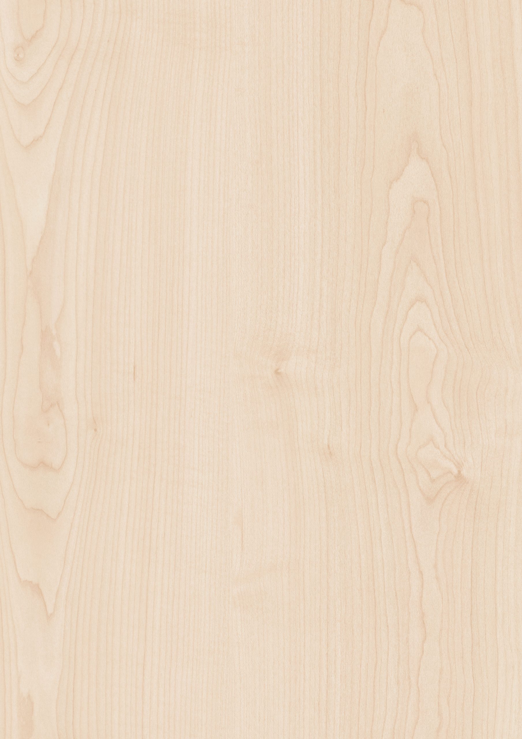 AKÇAAĞAÇ BOYALI PANEL