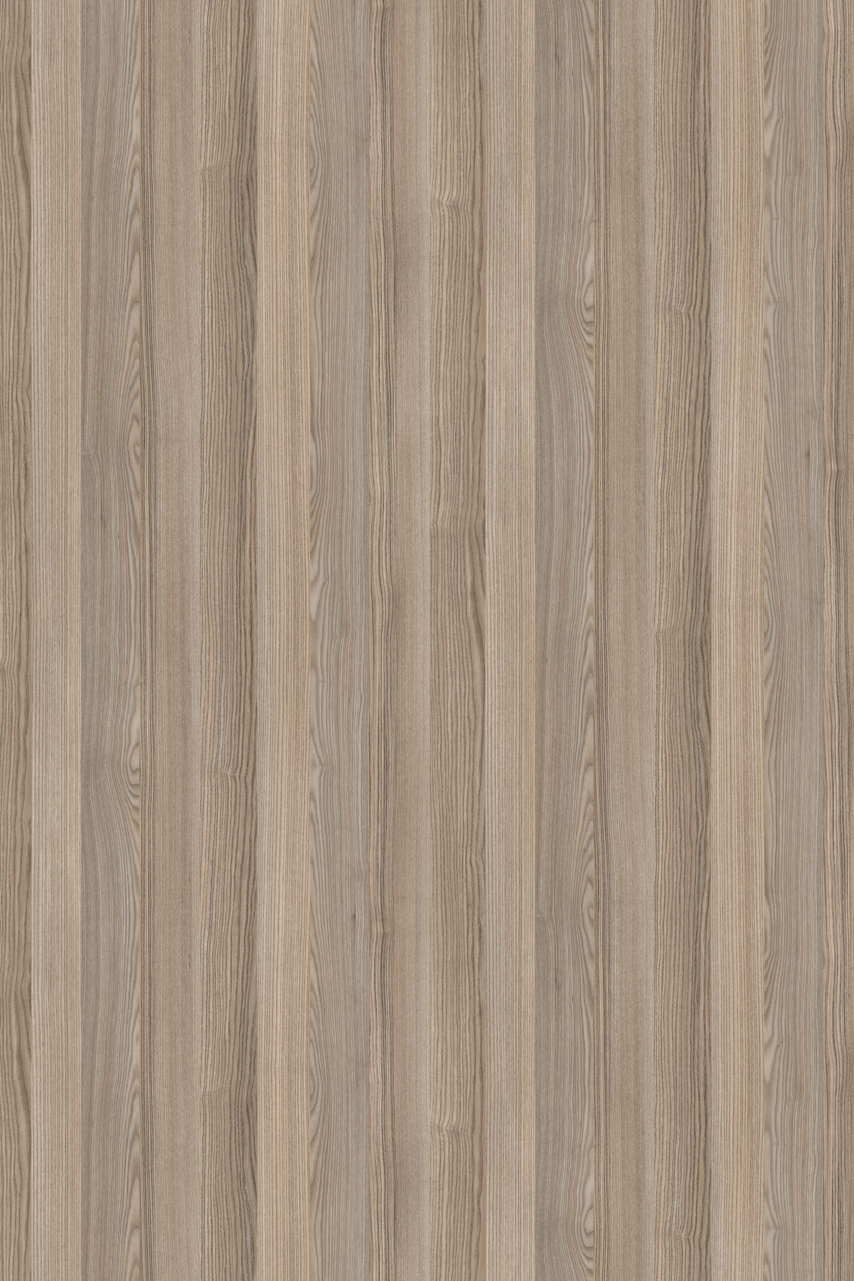 ATLANTIS BOYALI PANEL