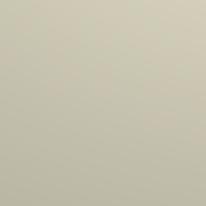 VARİO VİZON LAK PANEL